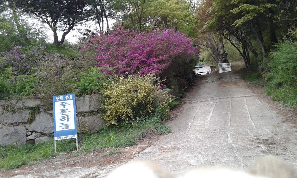 Pocheon Bluesky Pension 39/50