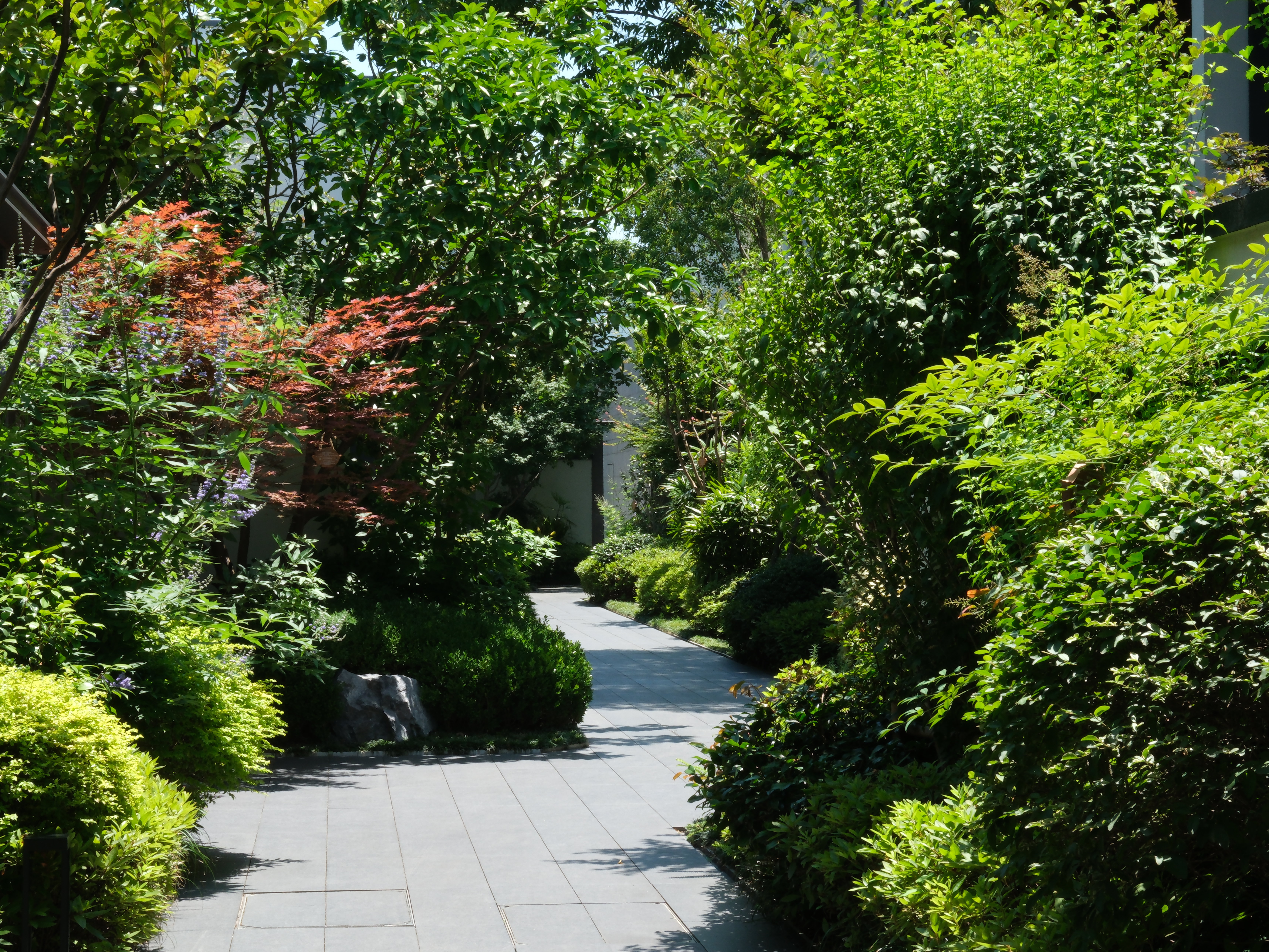Kimpton Suzhou Bamboo Grove 41/50