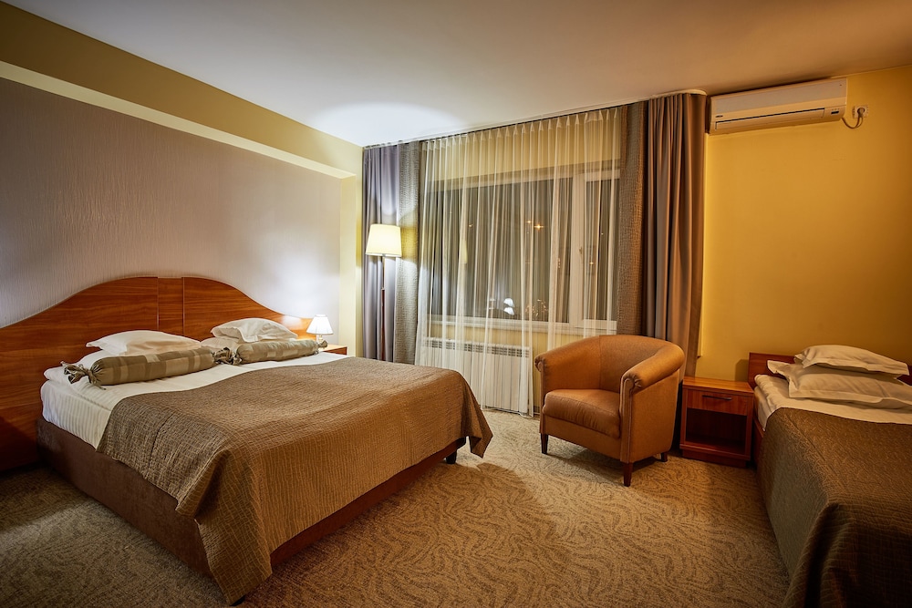 Hotel Rina Sinaia 11/50