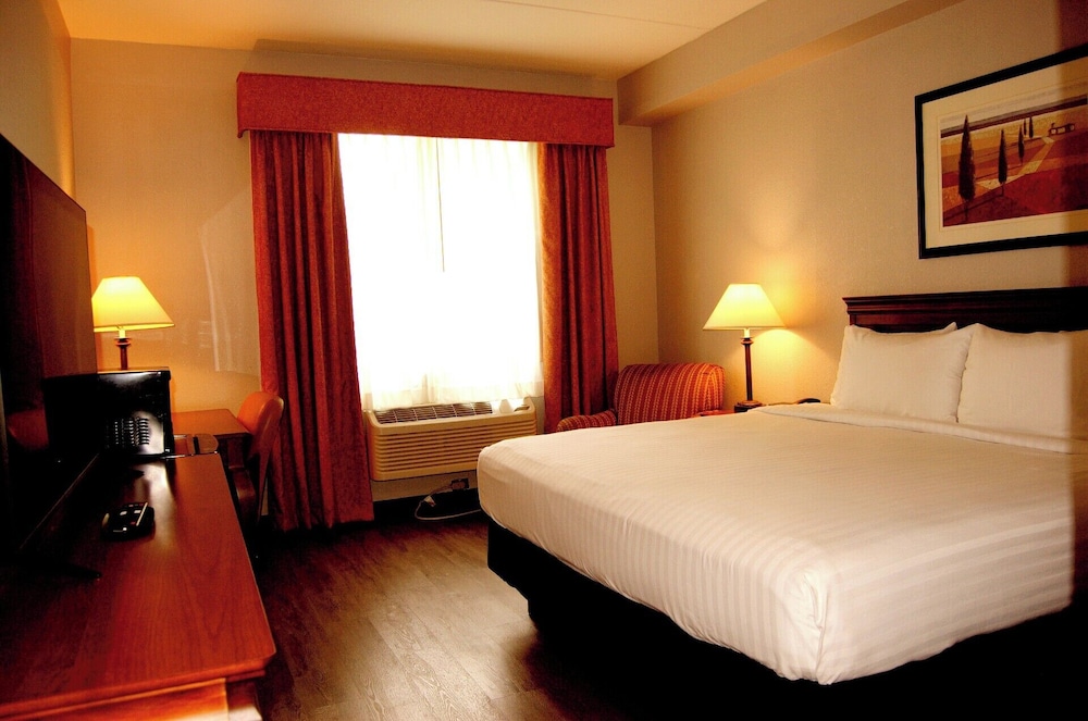 Standard, King Bed, Accessible