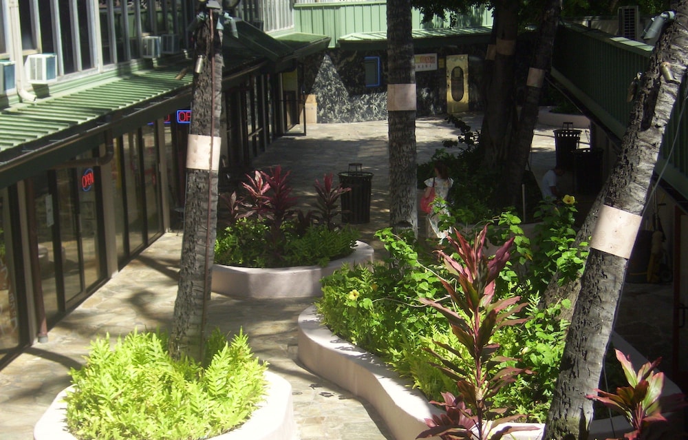 Kuhio Banyan Club 7/59