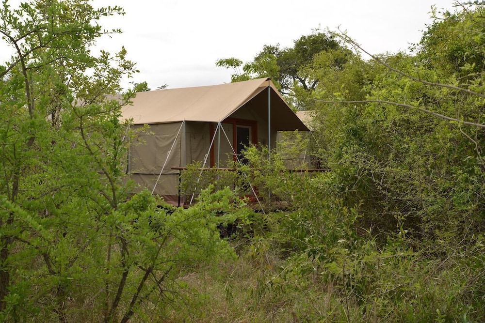 Wild Olive Tree Camp 18/20