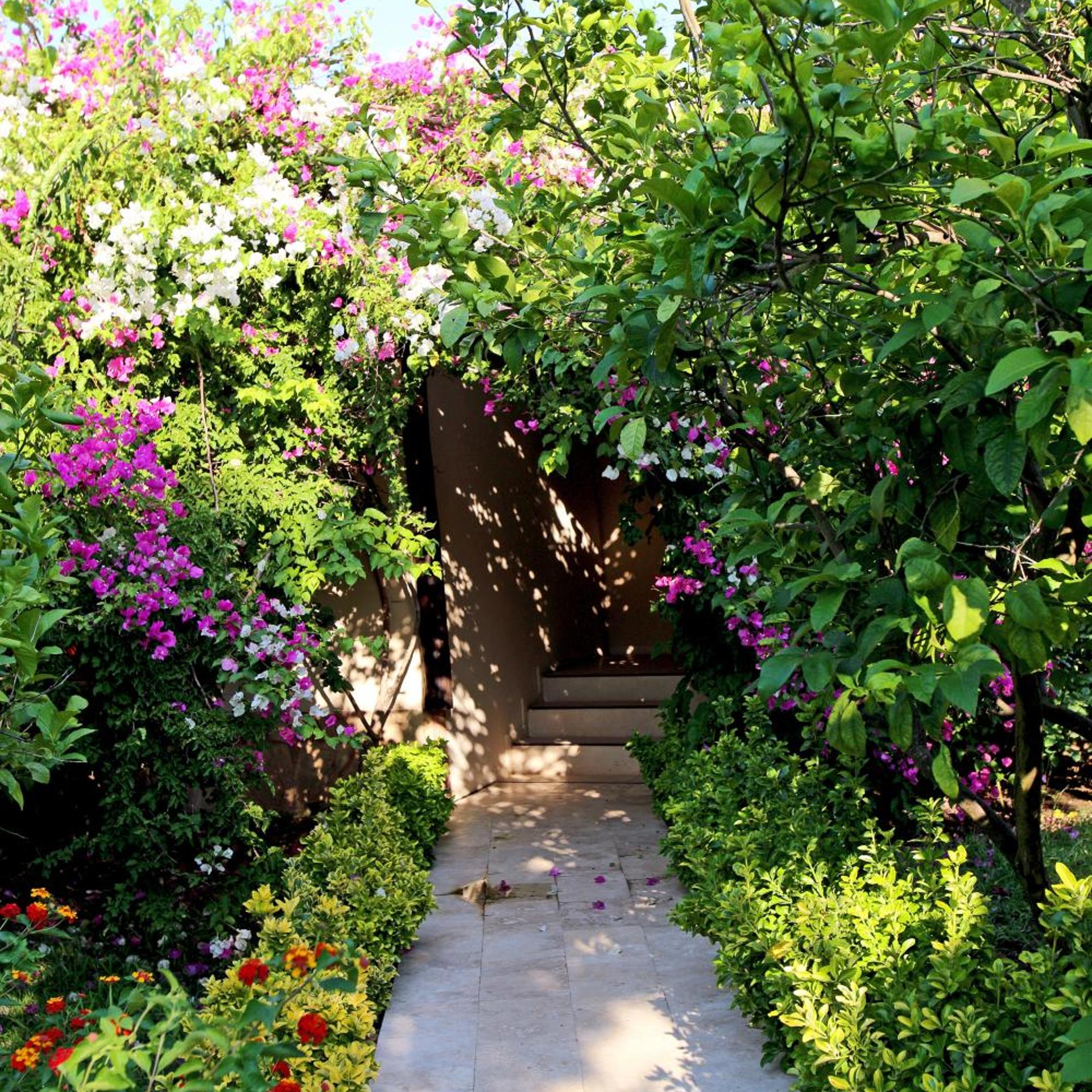 Nerissa (80Km From Antalya) 47/50