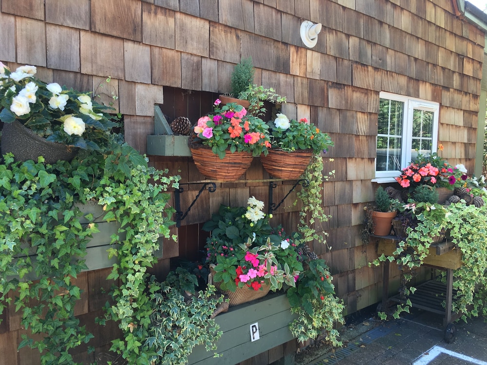 Petherton Cottage 3/23
