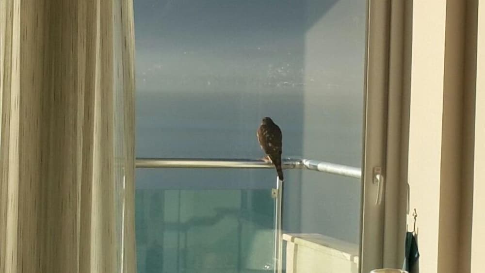 SOVALYE HOTEL photo5