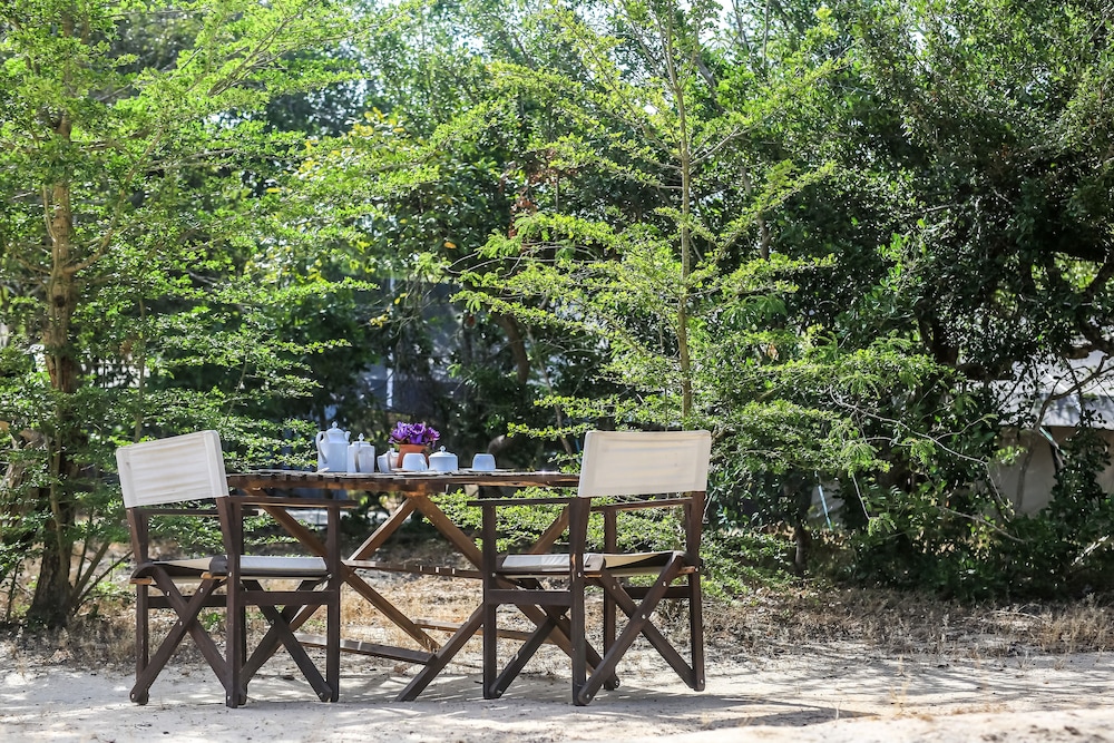 Yala Safari Camping 26/50