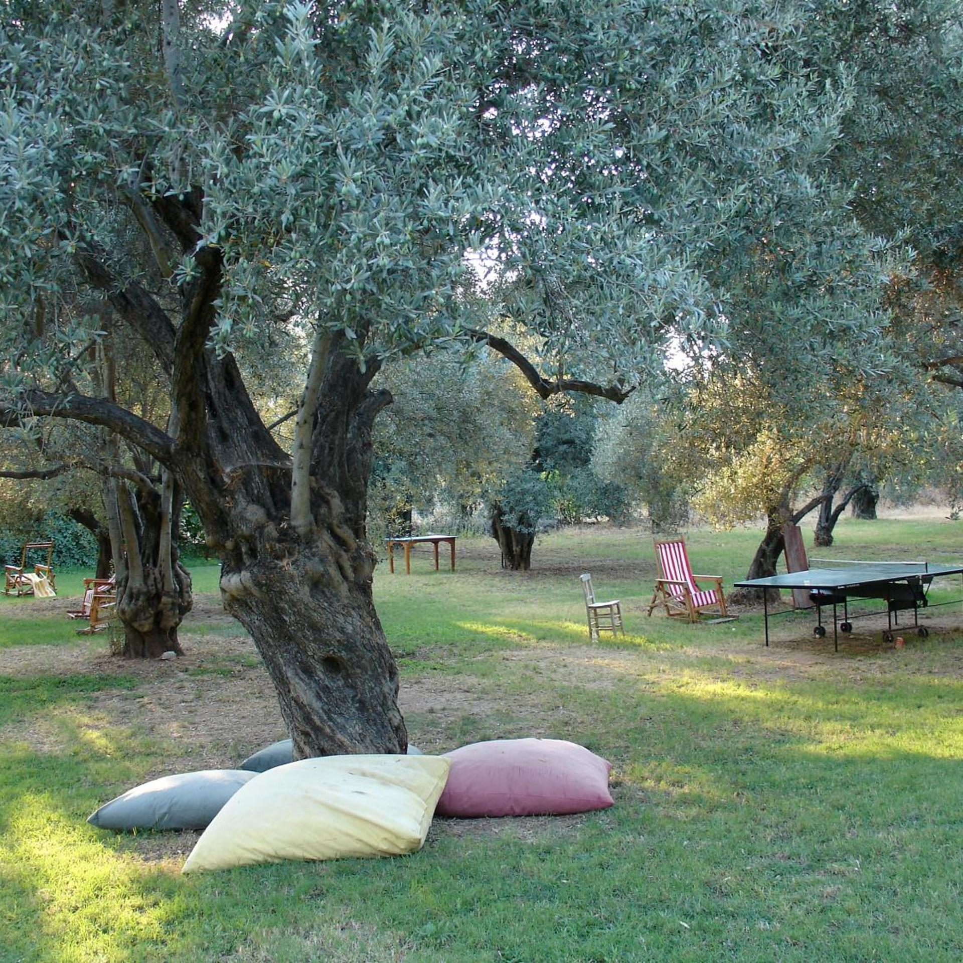 Emel Pension 27/50