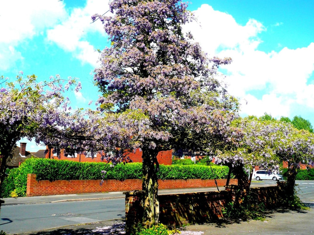 Malvern House 24/31