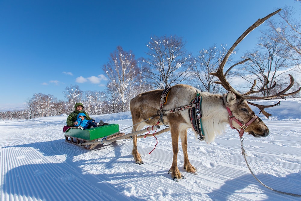 Hinode Hills Niseko Village 41/48