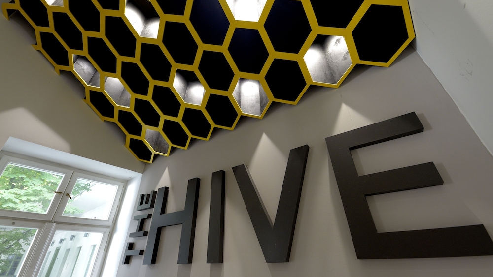 The Hive Party Hostel 55/65