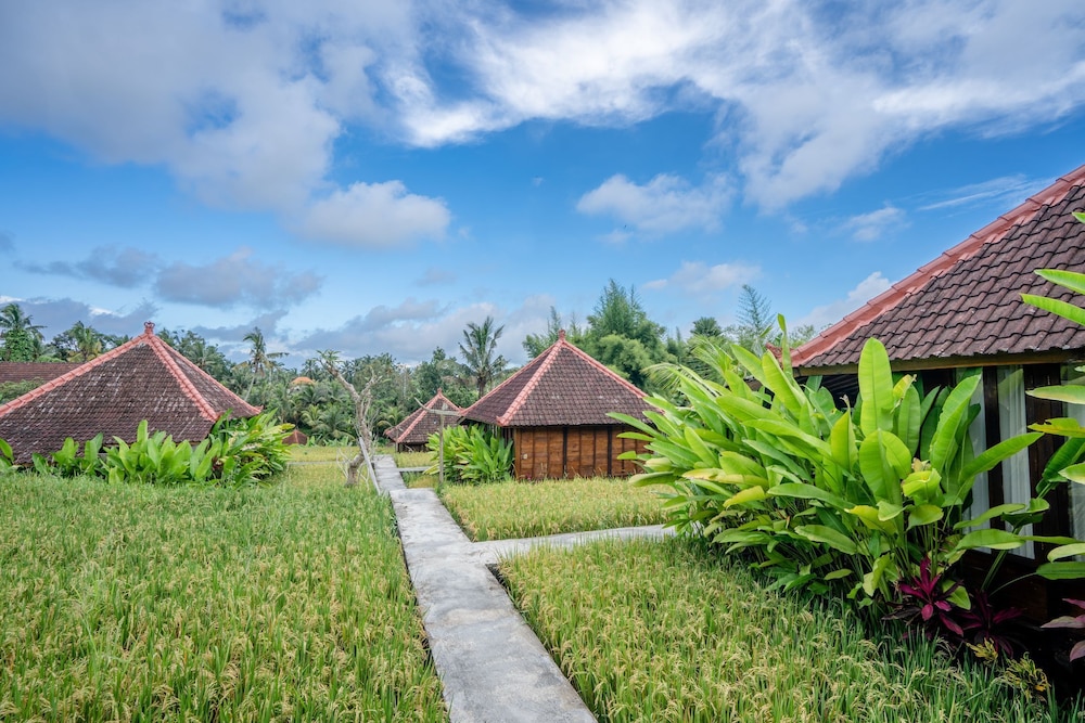 Ubud Sawah Homestay 42/50
