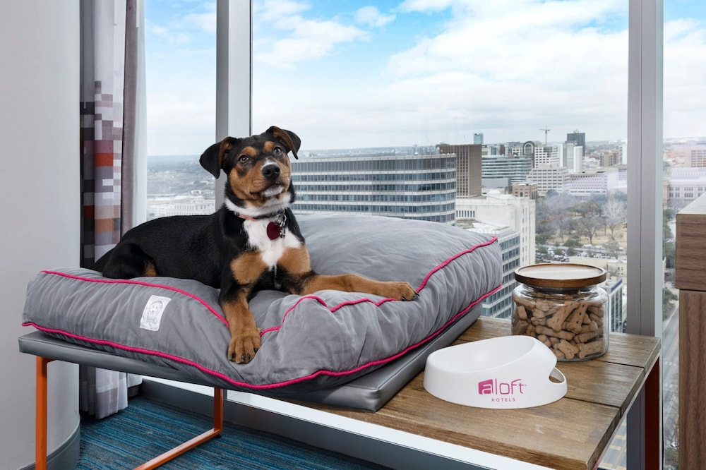 Aloft Austin Downtown 36/58