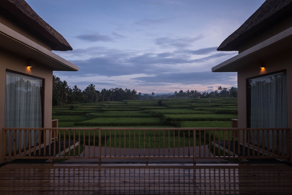 Manyi Village 6/64