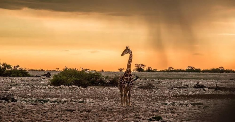 Aha Eagle Tented Lodge & Spa Etosha 45/56