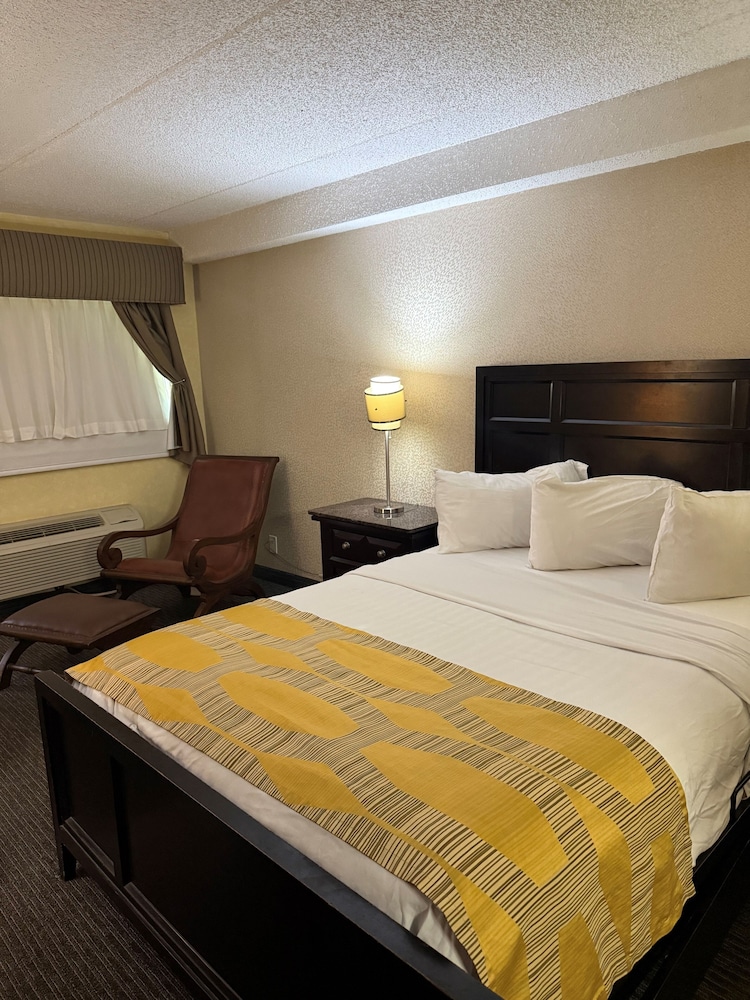 Deluxe, Queen Bed