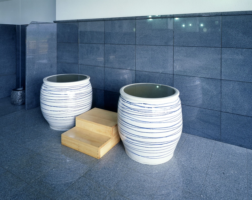 SPA & HOTEL RESORT Furano Laterre 19/54