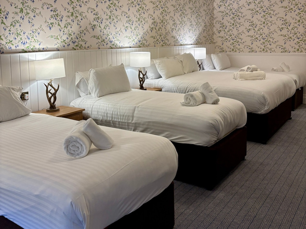 Family, 1 Double and 3 Single Beds, Xl