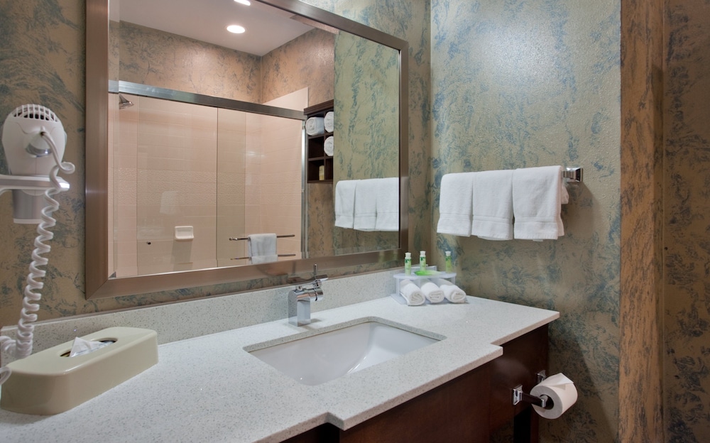 Holiday Inn Express Suites St Louis Airport 16/58