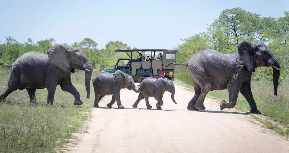 ANEW Resort Hazyview Kruger Park 42/50
