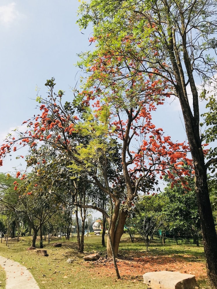 Suan Phueng Pa Wai Resort 28/50