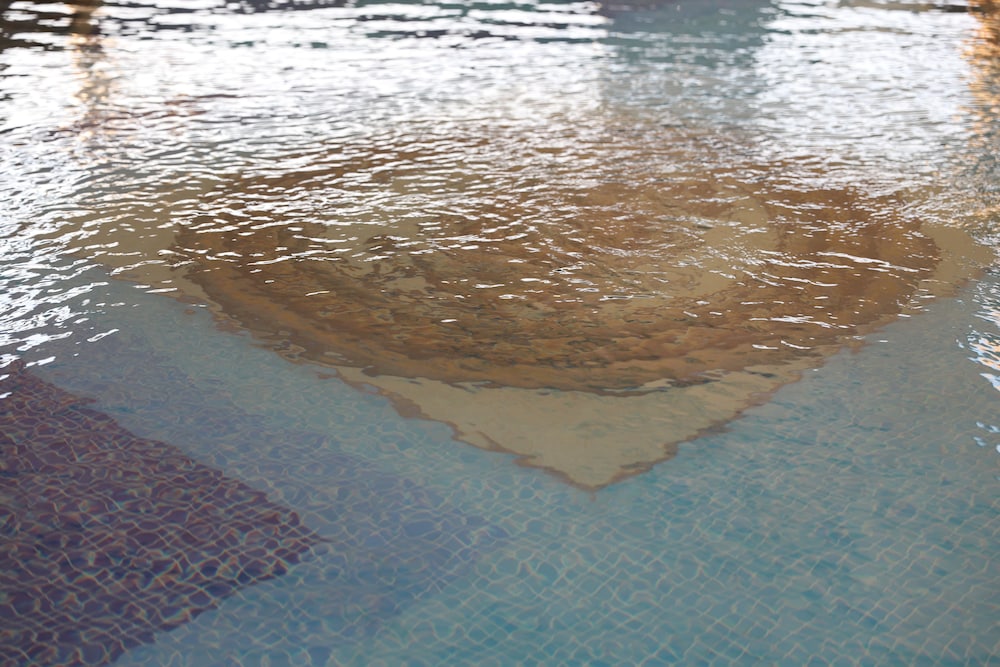 فندق مكان (Somewhere Bliss Hotel Al Ahsa) 13/15