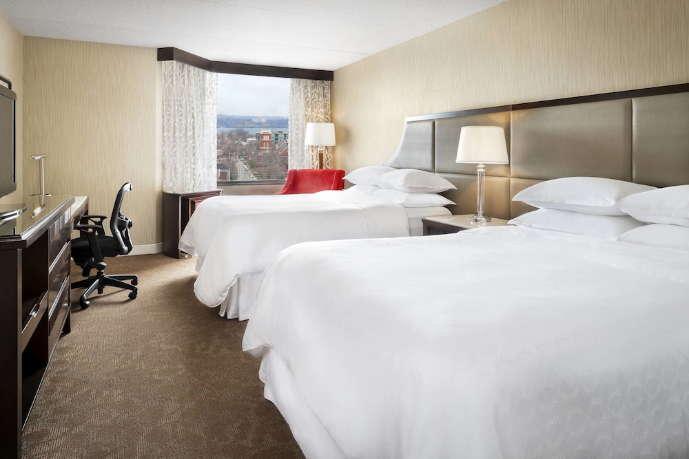 Sheraton Hamilton Hotel 14/42
