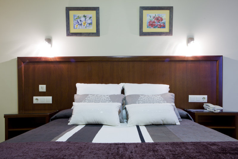 Hotel Arsus 15/41
