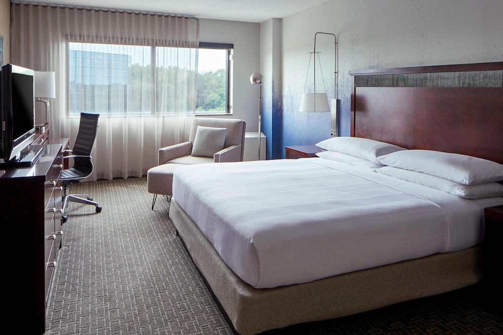 Room, King Bed