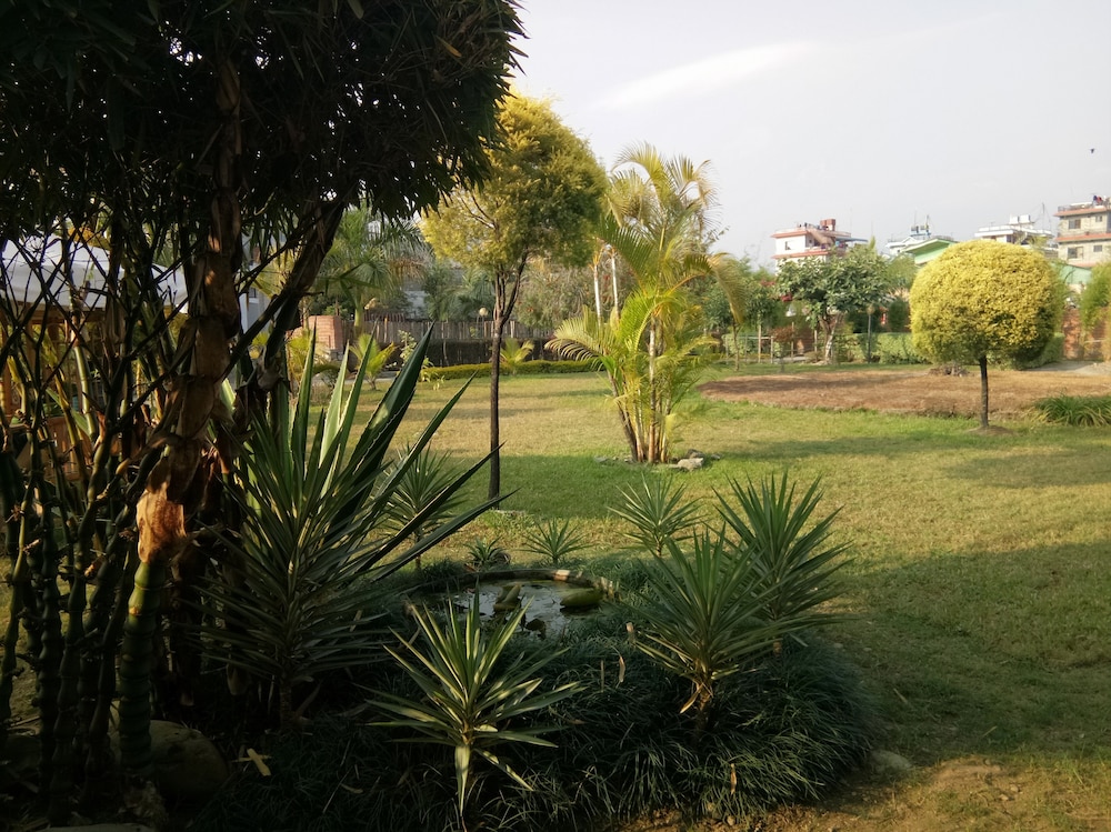 surroundings
