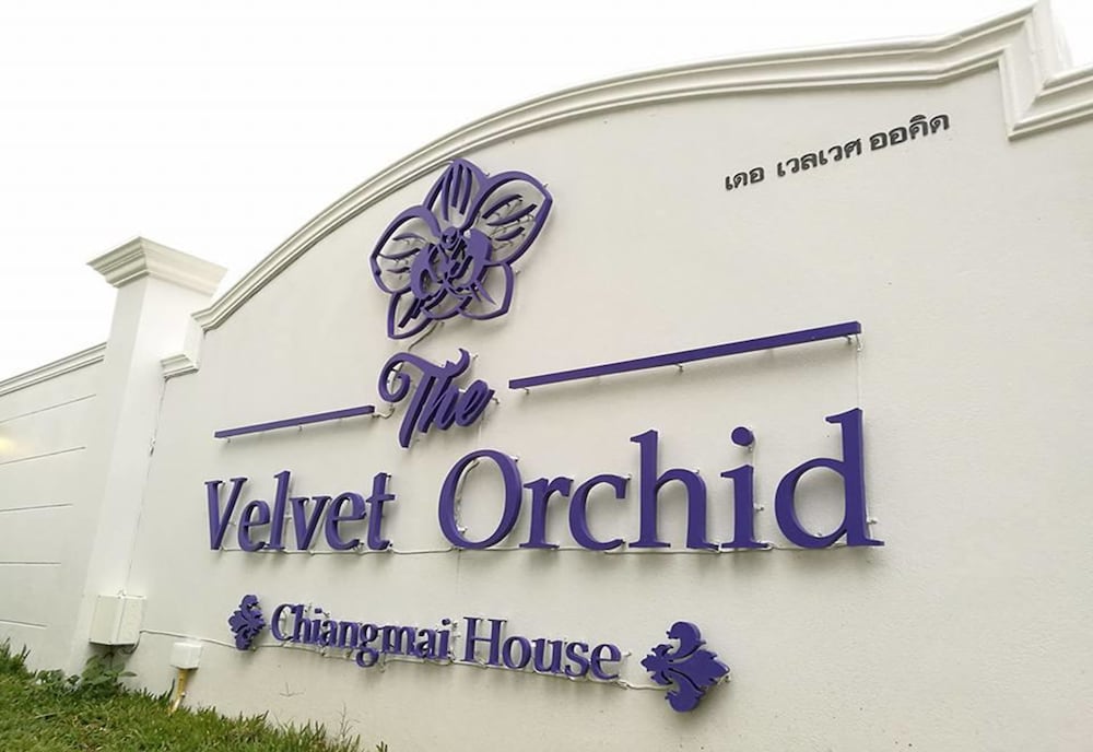 The Velvet Orchid 3/52
