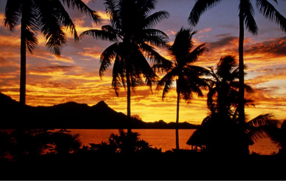 Nukubati Private Island Great Sea Reef - All Inclusive 50/62