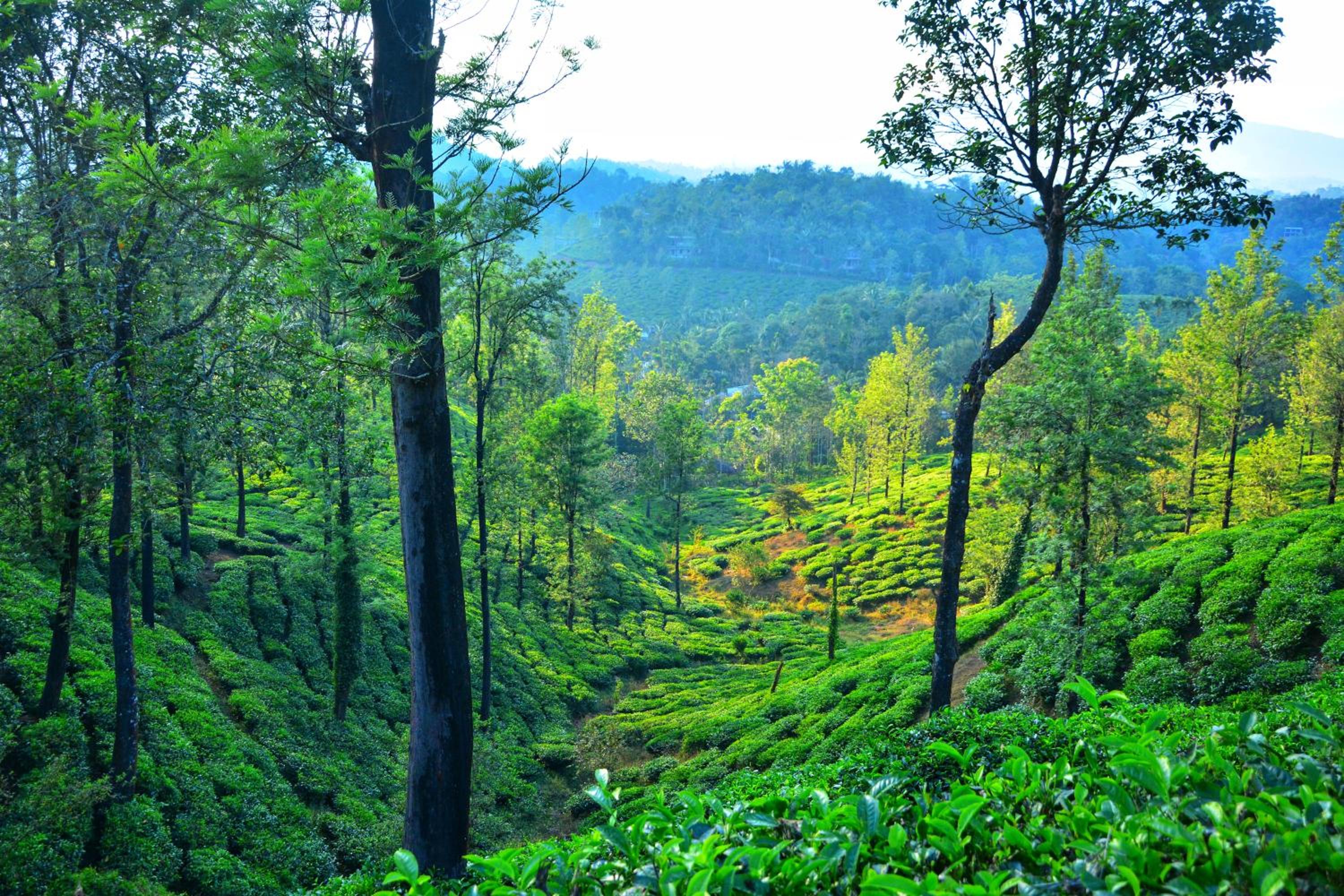 Annapara Home Stay 24/41