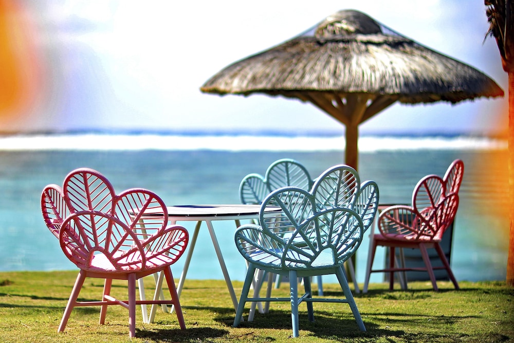 C Mauritius Palmar 46/50