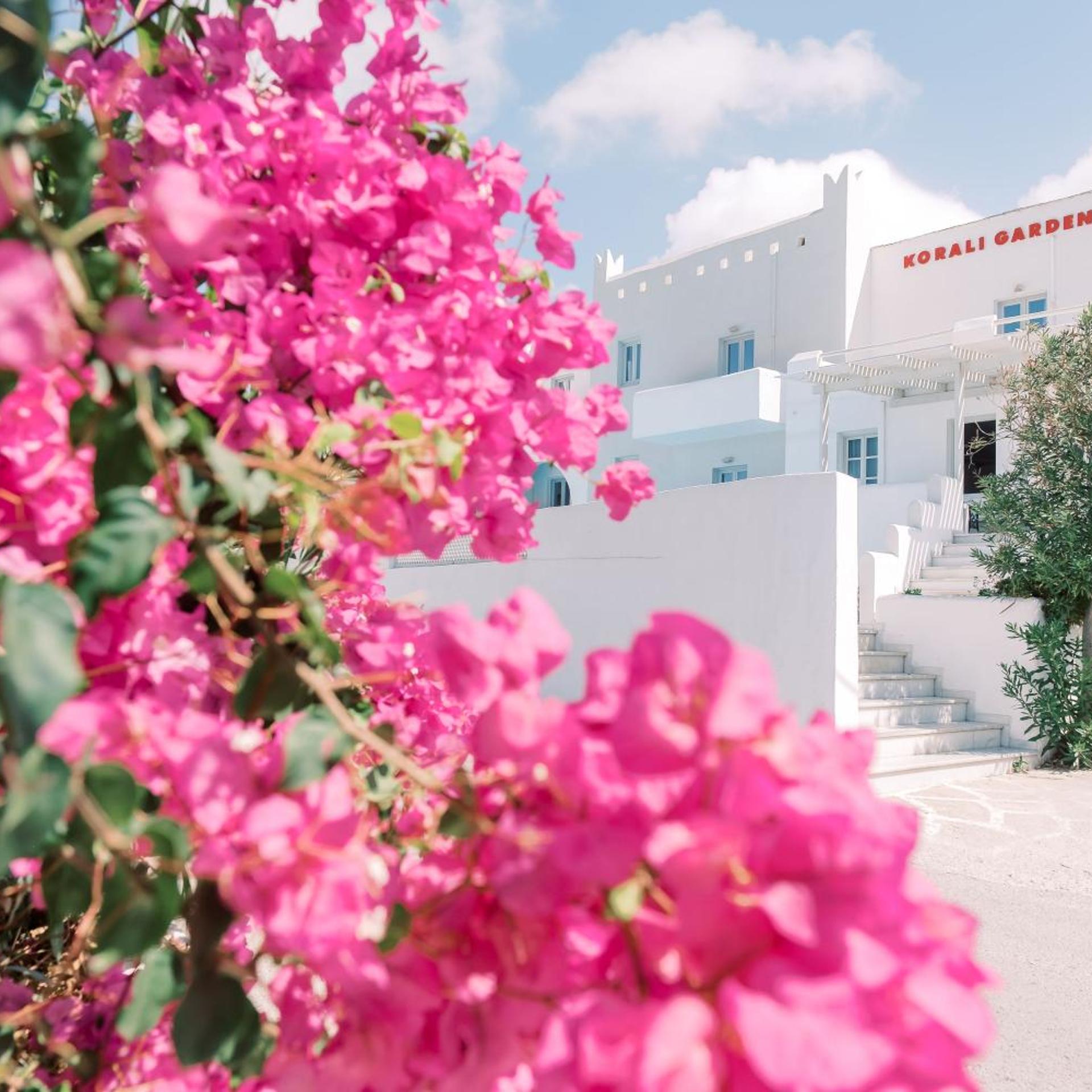 Korali Garden Hotel 49/57