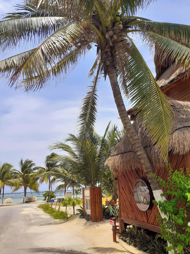 Palmeras de Mahahual Cabanas 35/39