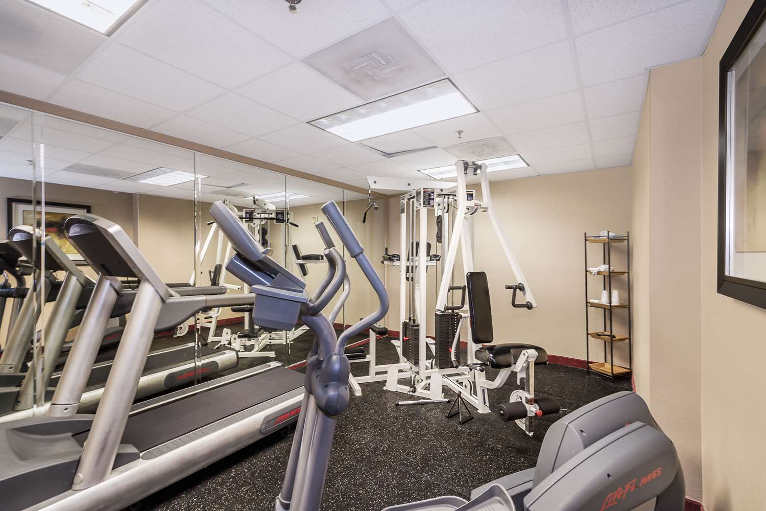 Comfort Inn & Suites Maingate South 8/19