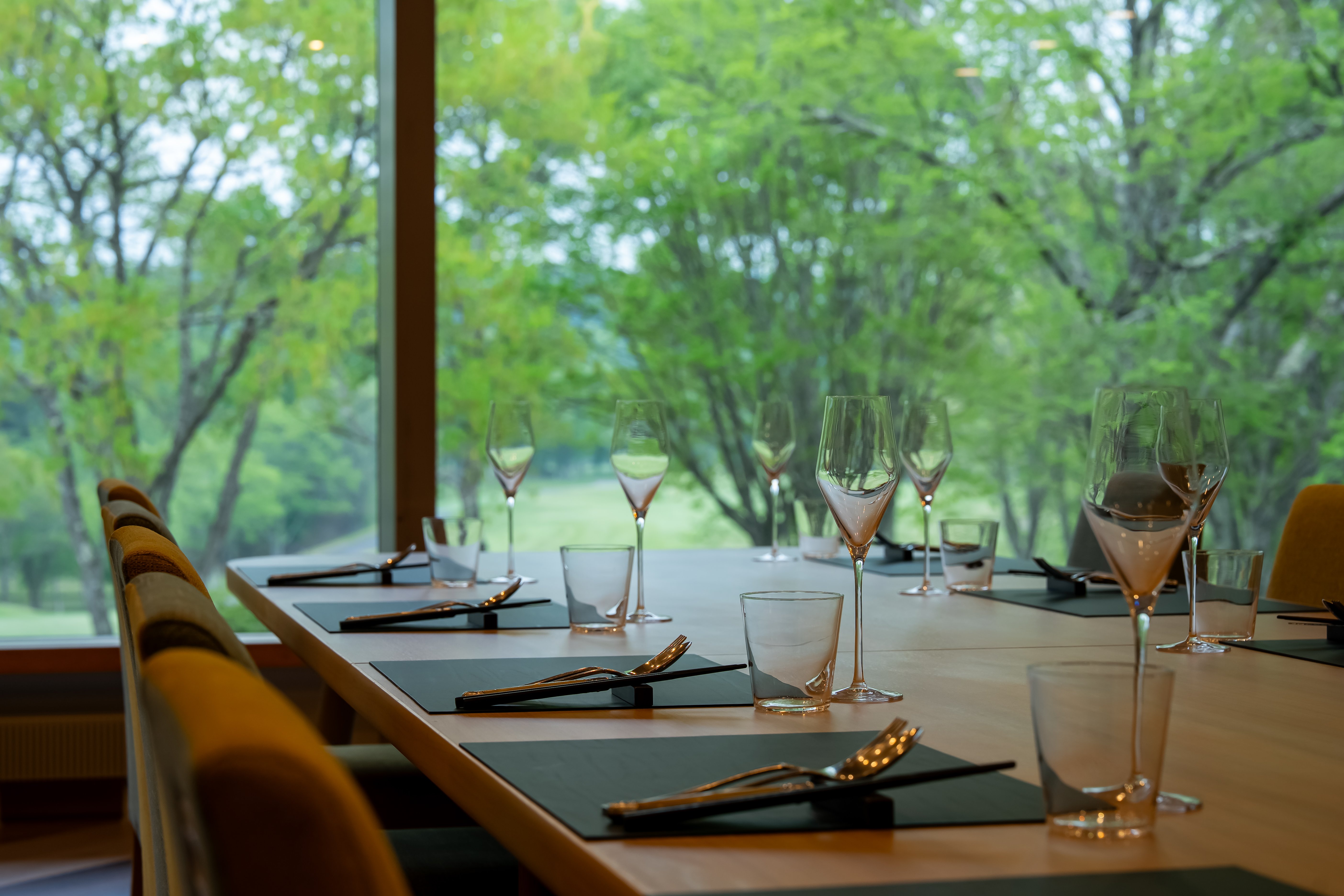ANA Holiday Inn Resort Karuizawa by IHG 55/68