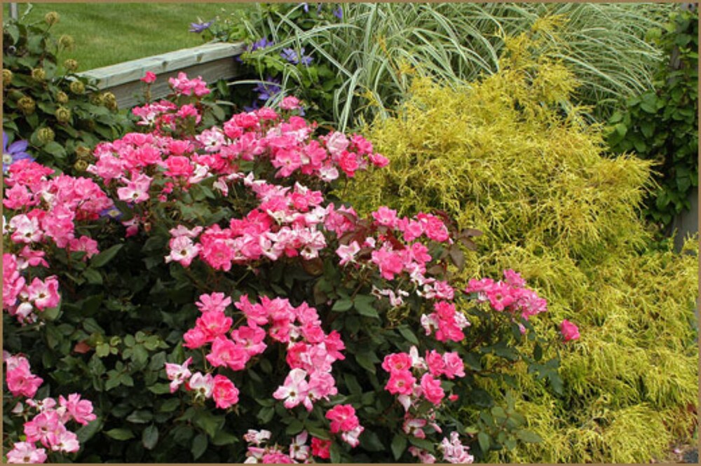 Annville Inn Bed and Breakfast 36/50