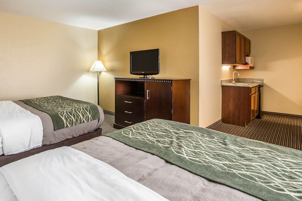Econo Lodge Inn & Suites Monroe, MI 9/36