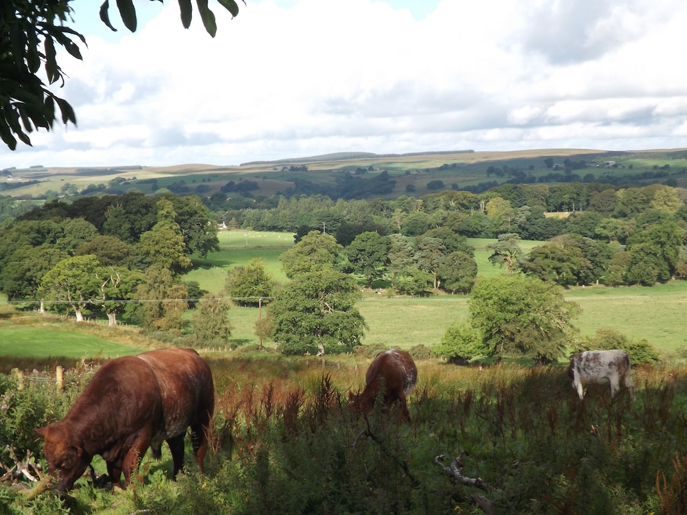 Hillis Close Farm 14/18
