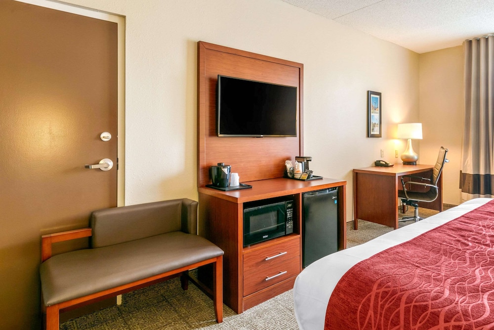Suite, King Bed, Sofa, Ground Floor, Accessible