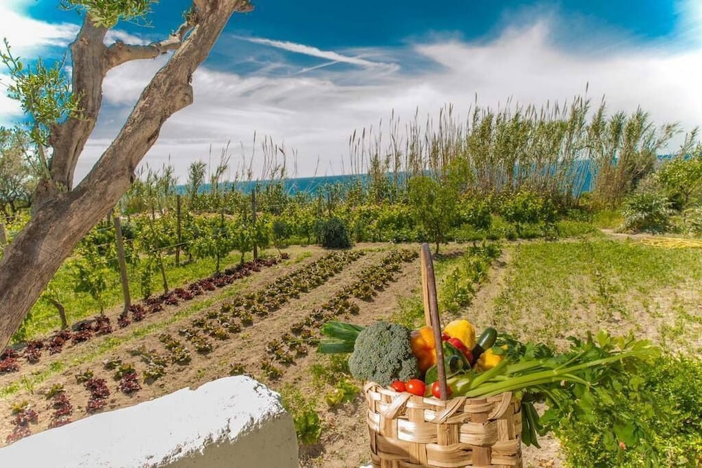 Il Gattopardo Hotel Terme and Beauty Farm 40/50