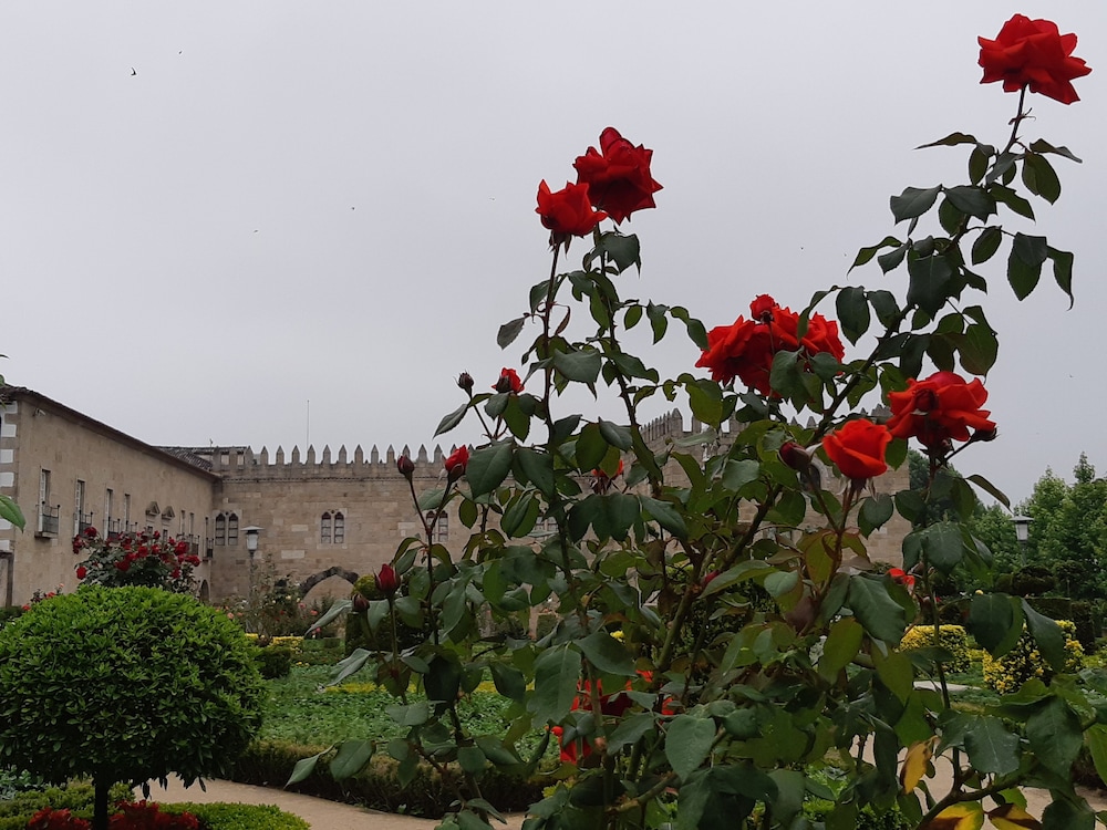 Do Parque 33/41