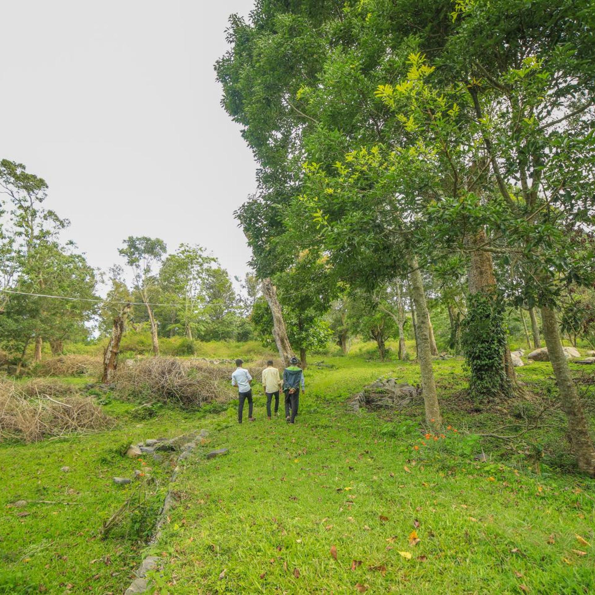 WOW Bison Woods Resort Yercaud 43/57