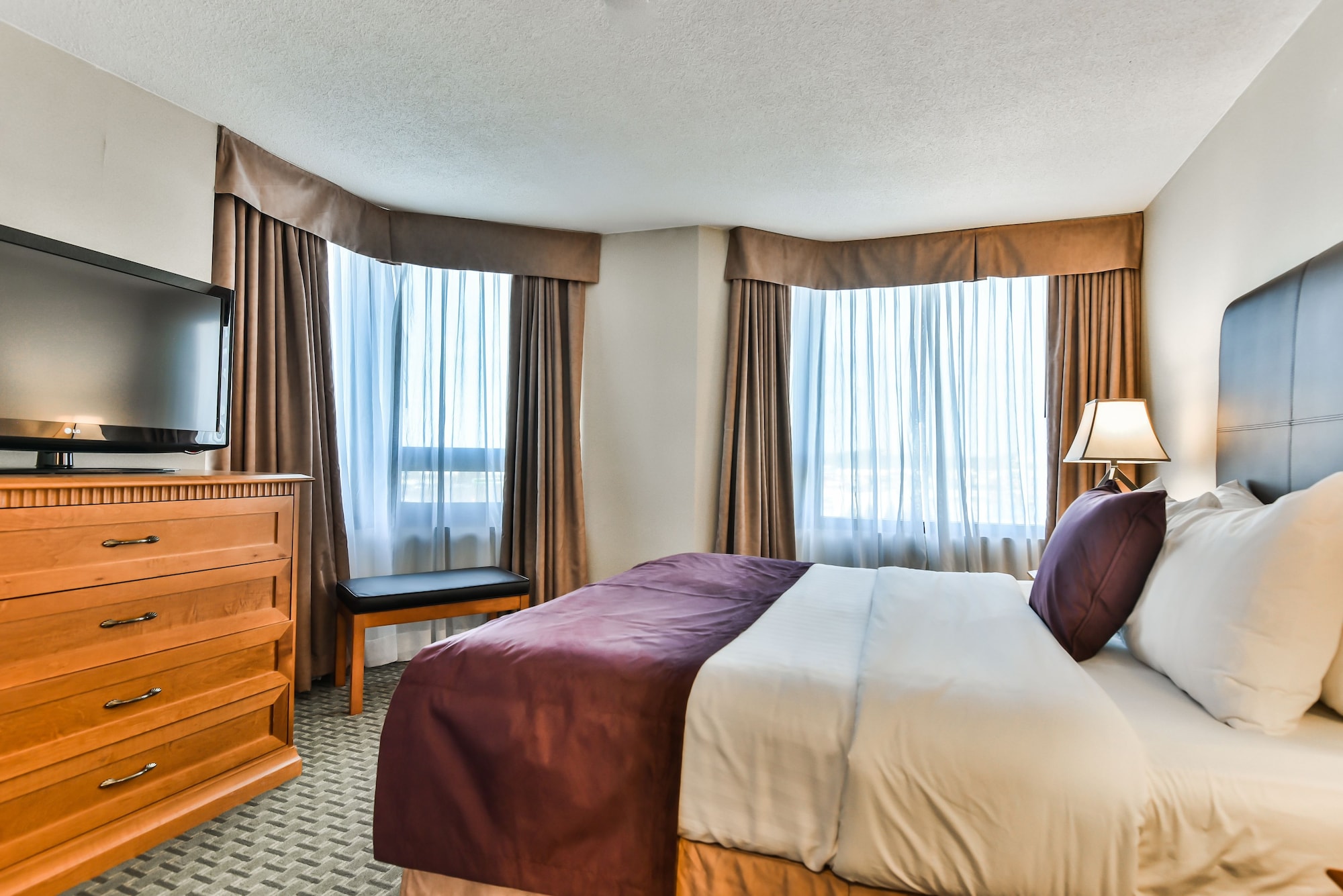 Suite, Queen Bed