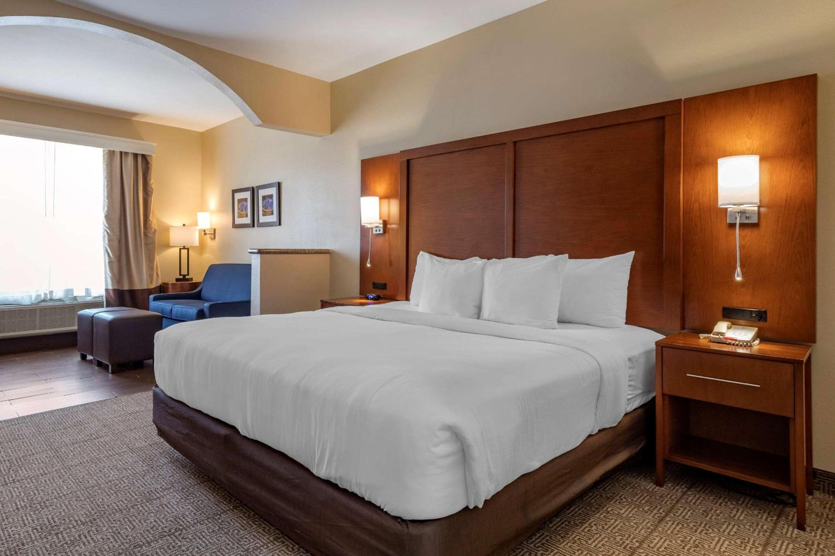 1 Bedroom, Suite, Sofa, Accessible, Comfort Suites Houston near Medical Center- NRG Stadium 3/7