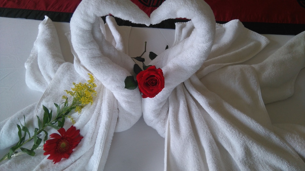 Green Coco Homestay Hoi An 65/91