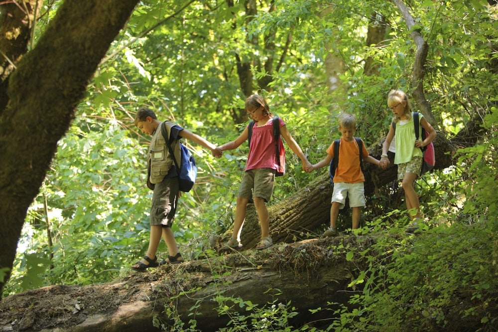 Treetops Lodge and Wilderness Experience 6/59