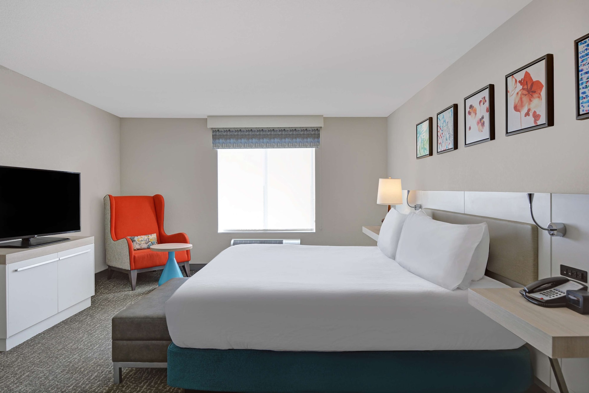 DELUXE, KING BED