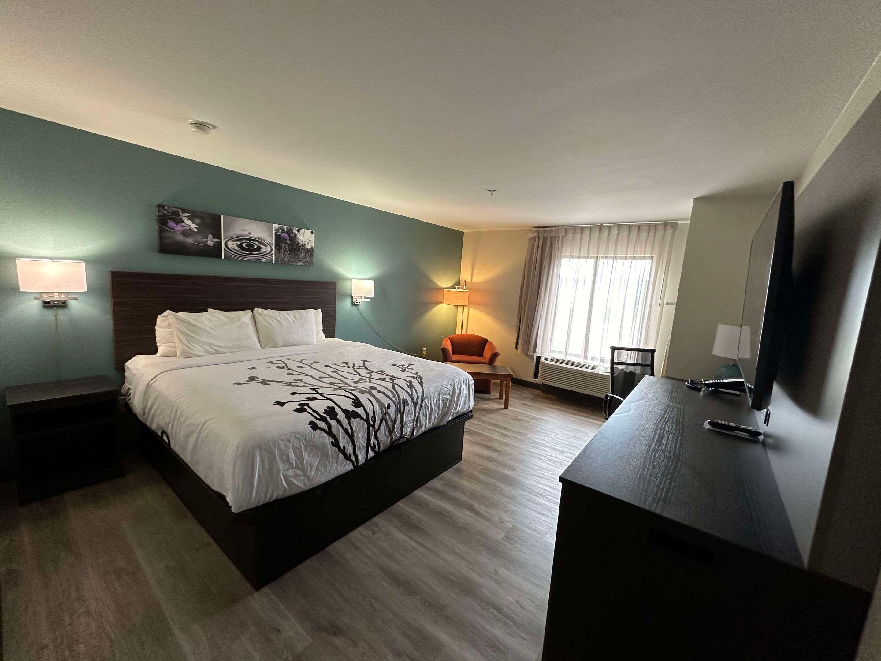 Efficiency, Suite, 1 King and 2 Queen Beds, Accessible